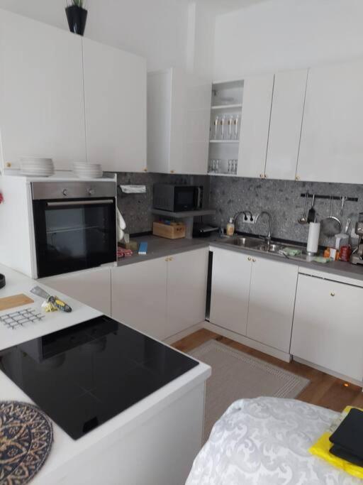 Stilvolle Wohnung Mit Terrasse/Garten Вена Экстерьер фото